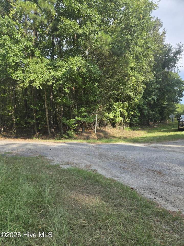 0 Deer Run Court - Photo 1