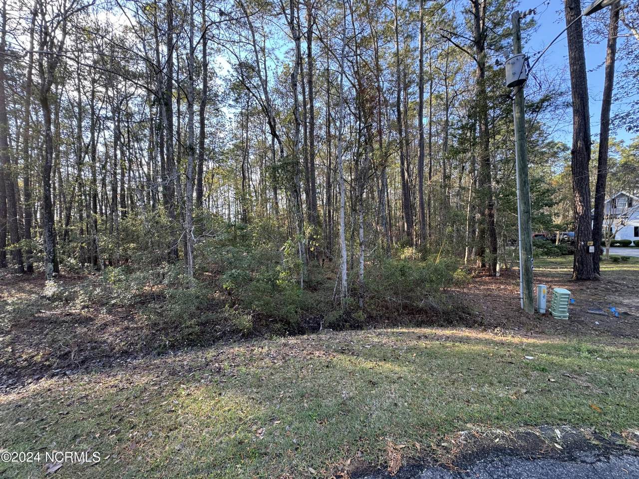 Lot A/29 Mashie Court - Photo 1