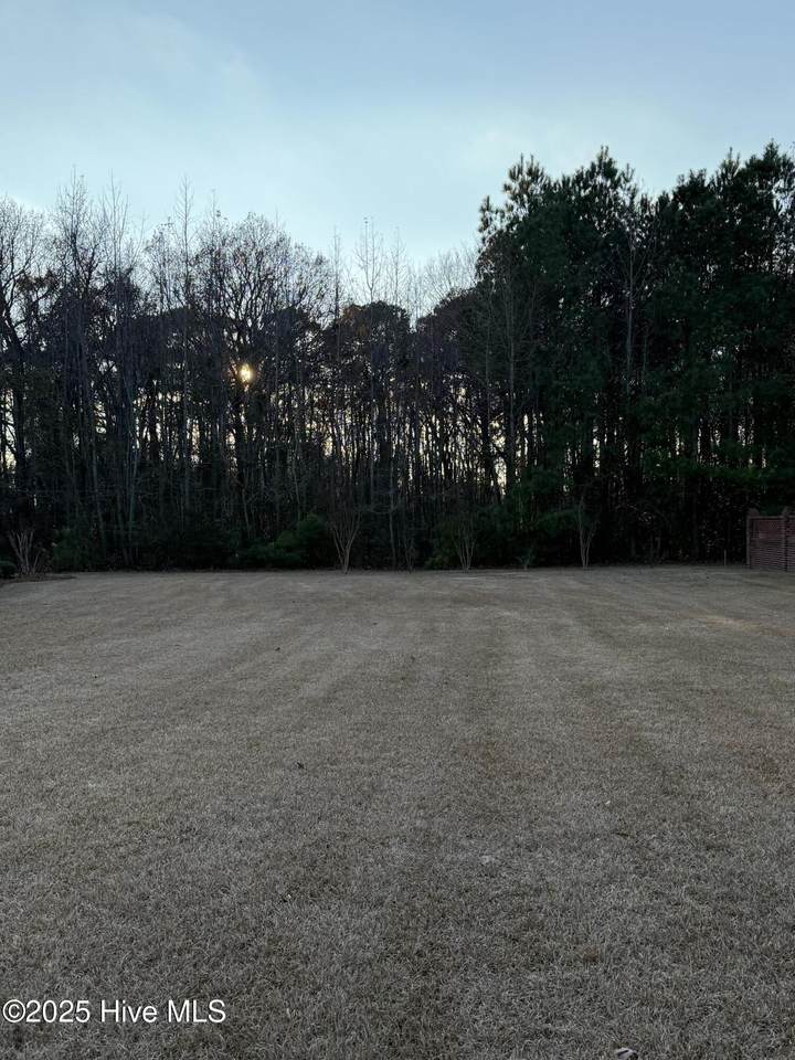 402 Tryon Drive - Photo 1
