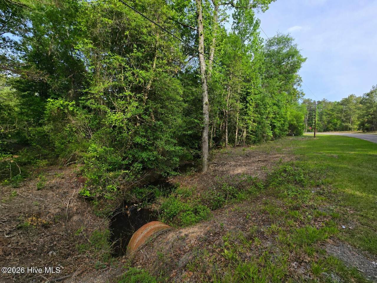 Lot 45-47 Cabins Creek Road - Photo 1