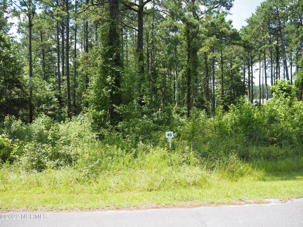 116 Cedarwood - Photo 1