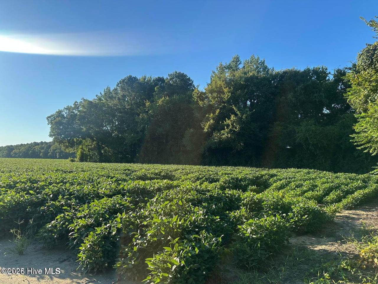 0 Creech Road - Photo 1