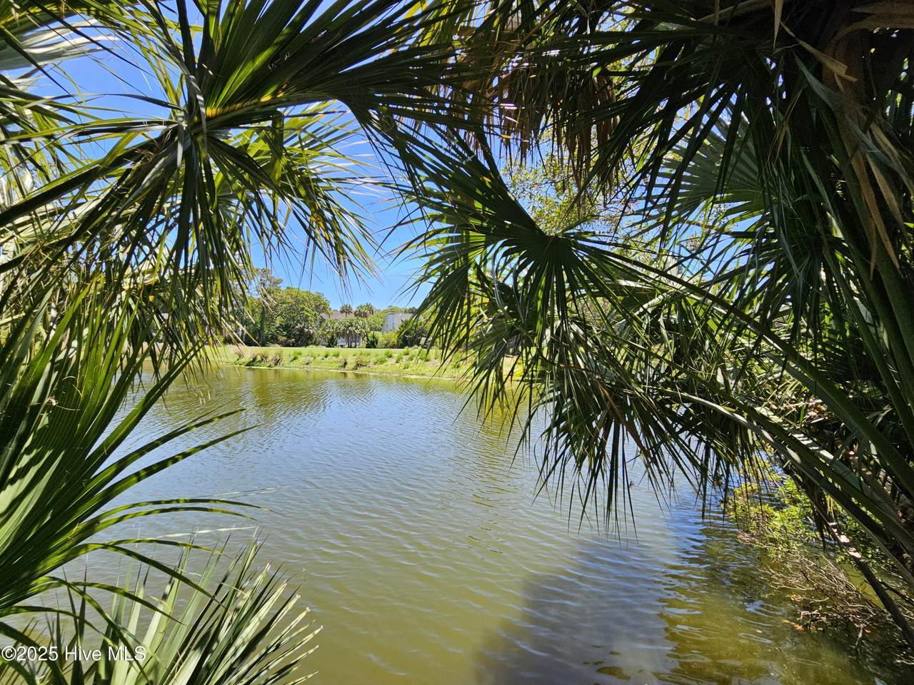 30 Sabal Palm Trail - Photo 1
