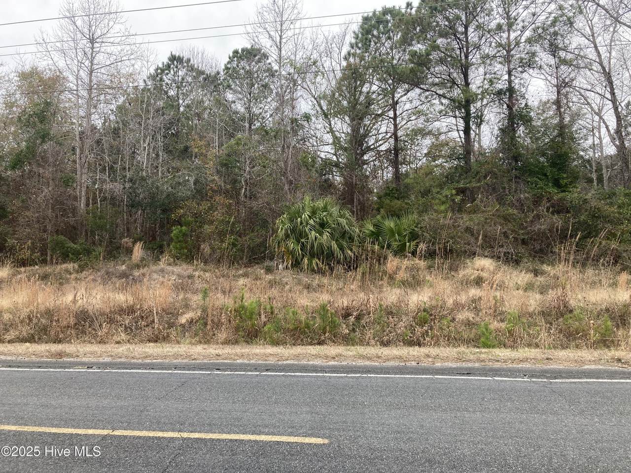 0 Hale Swamp Road Road - Photo 1