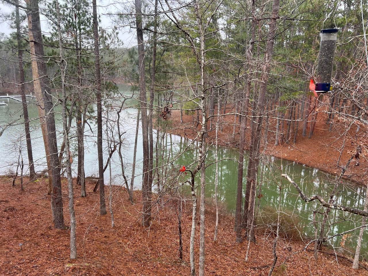 6-47 Superior Cove - Photo 1