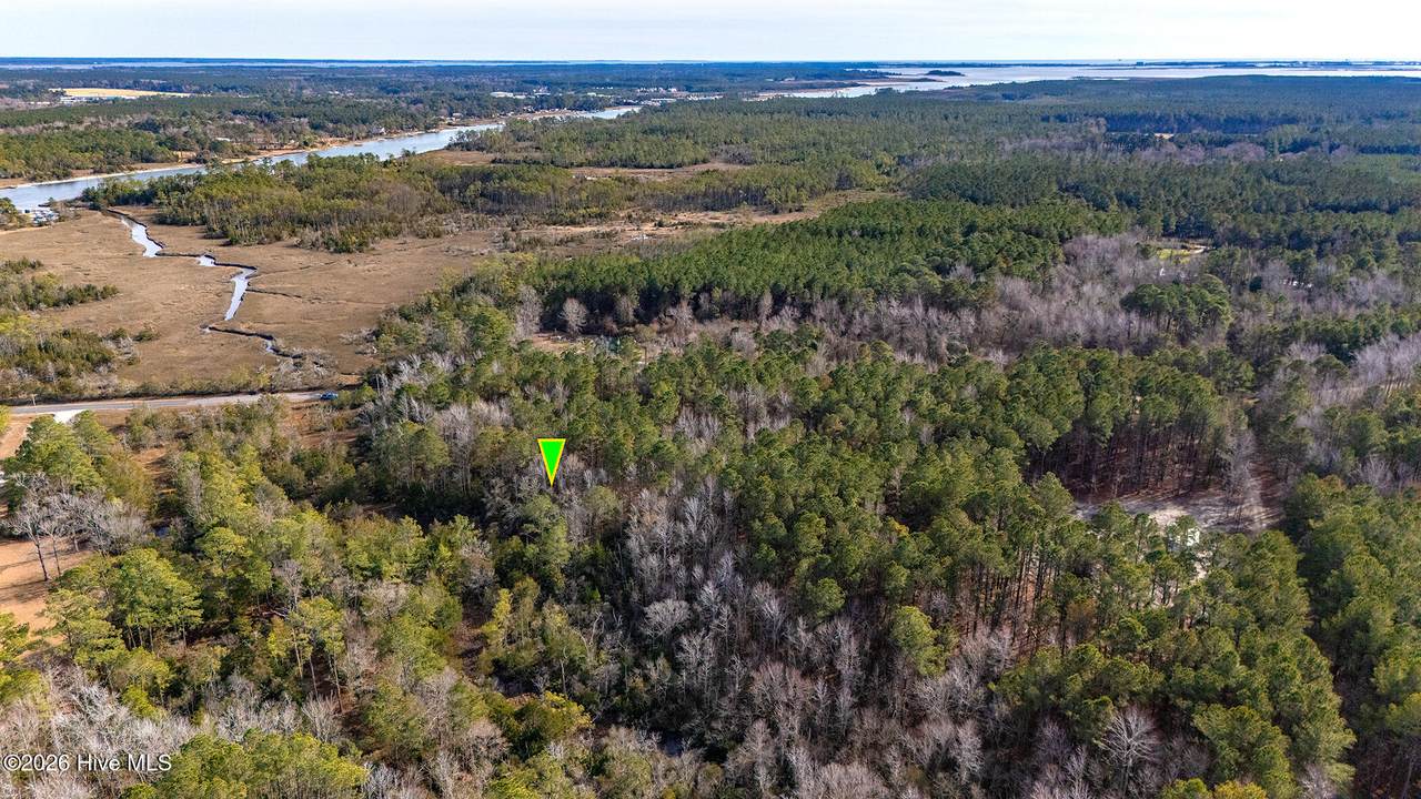 256 Hardesty Loop Road - Photo 1