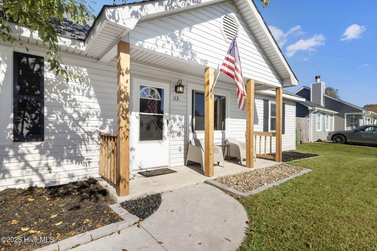 113 Parnell Road - Photo 1