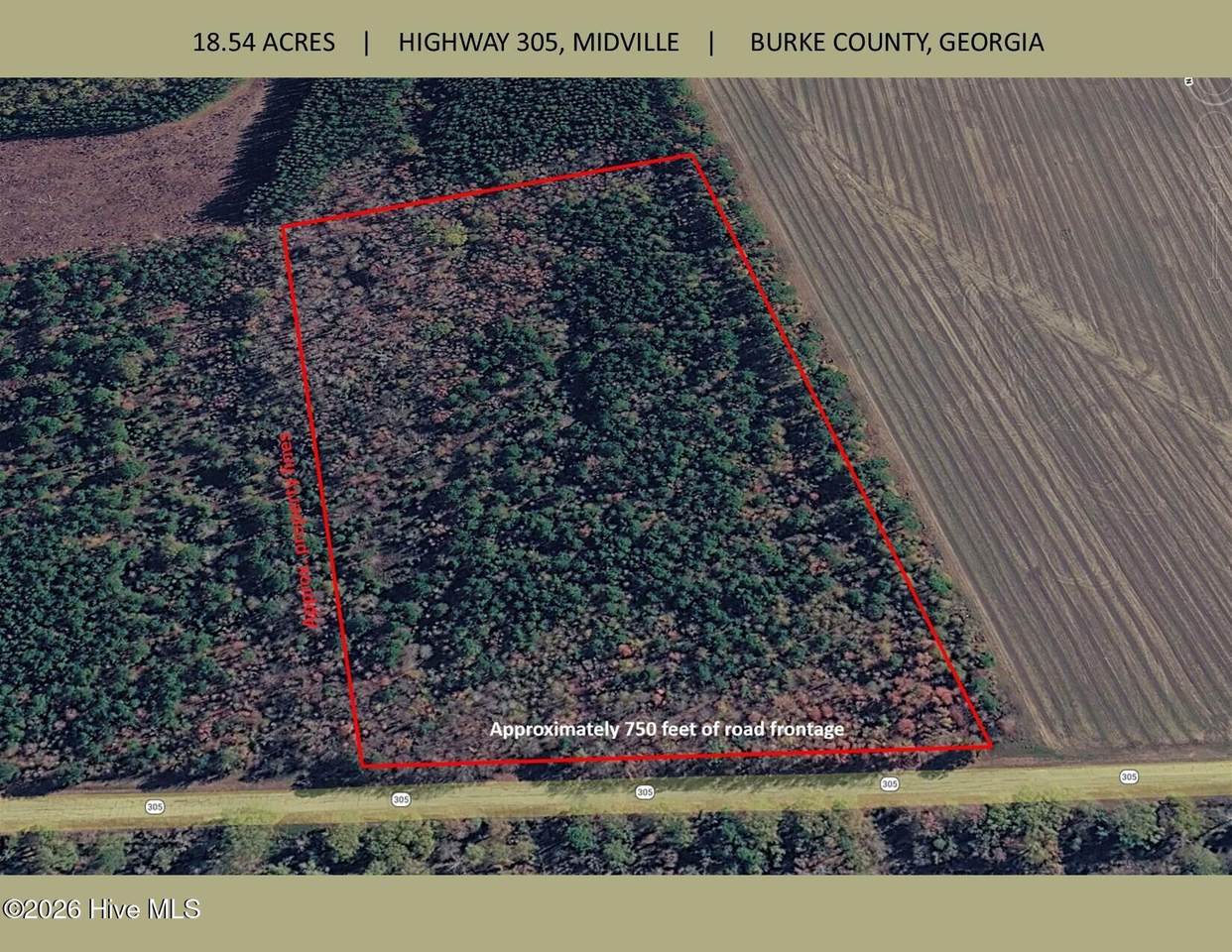 18.5 Acres Georgia 305 Highway - Photo 1