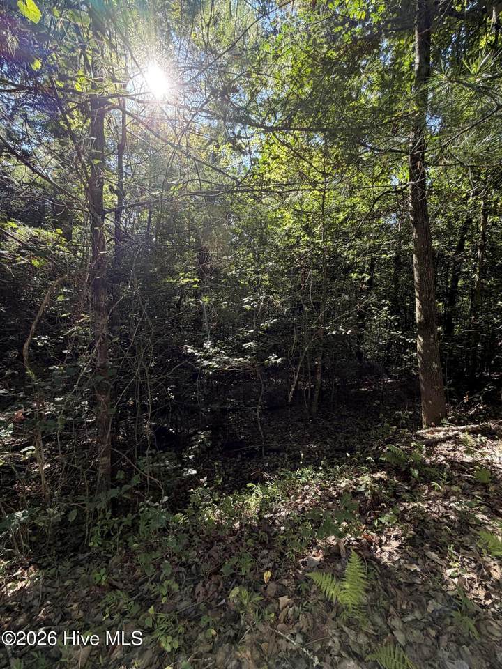 0 Explorer Ridge - Photo 1