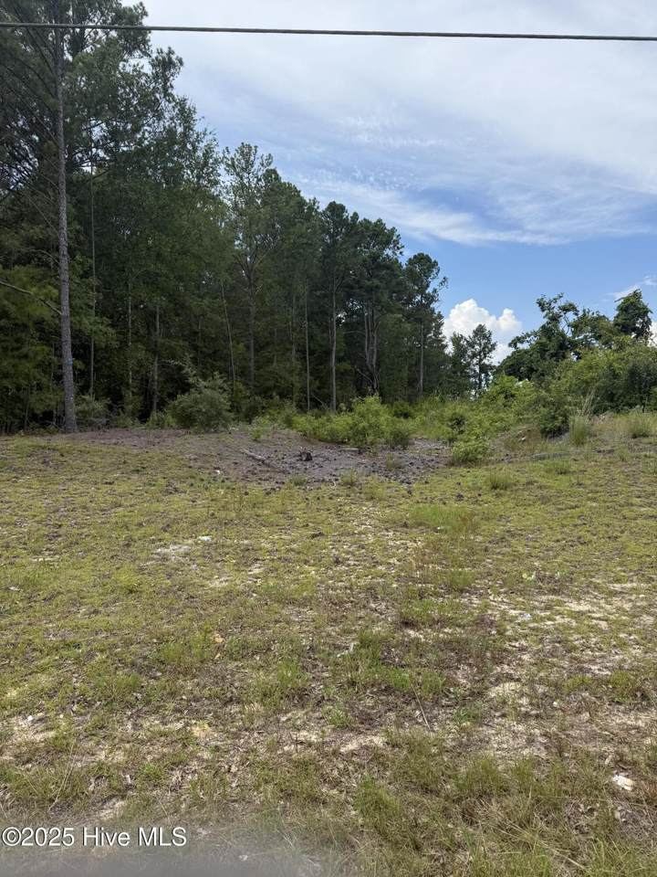 757 Washington Street Ext - Photo 1