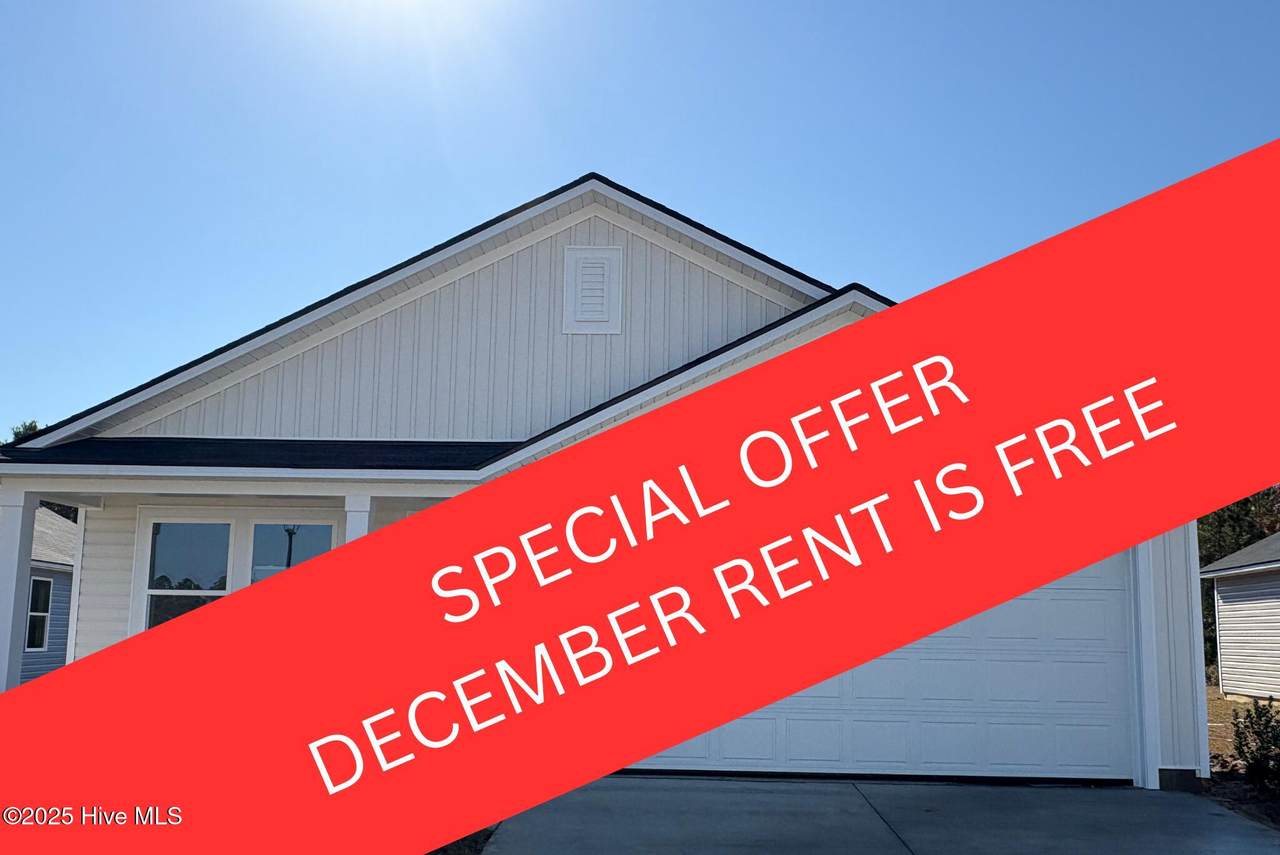 6287 Swainson Street - Photo 1