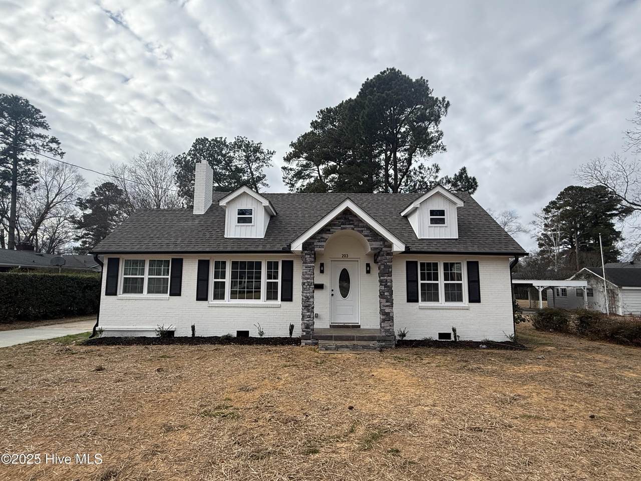 203 Stewart Avenue - Photo 1