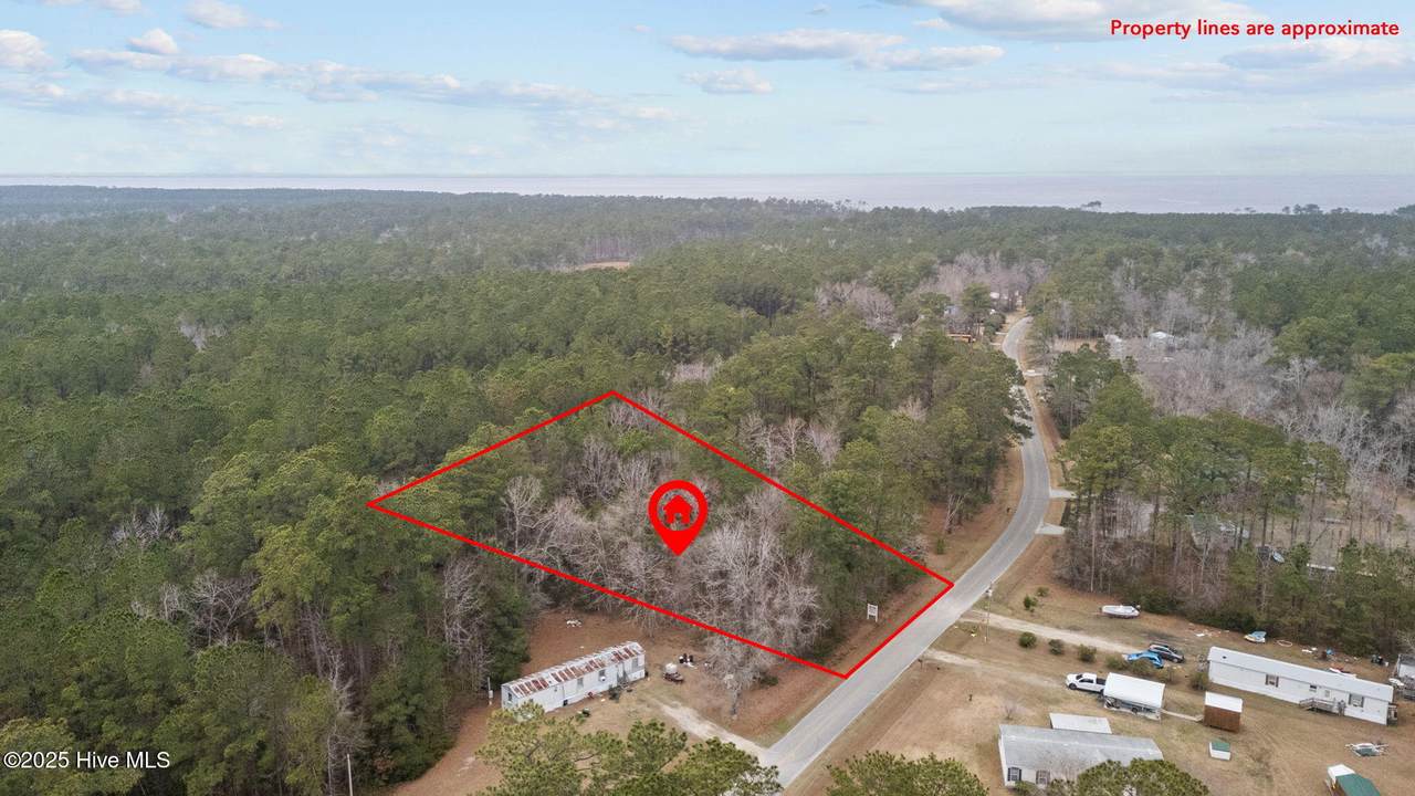117 Deer Trail - Photo 1