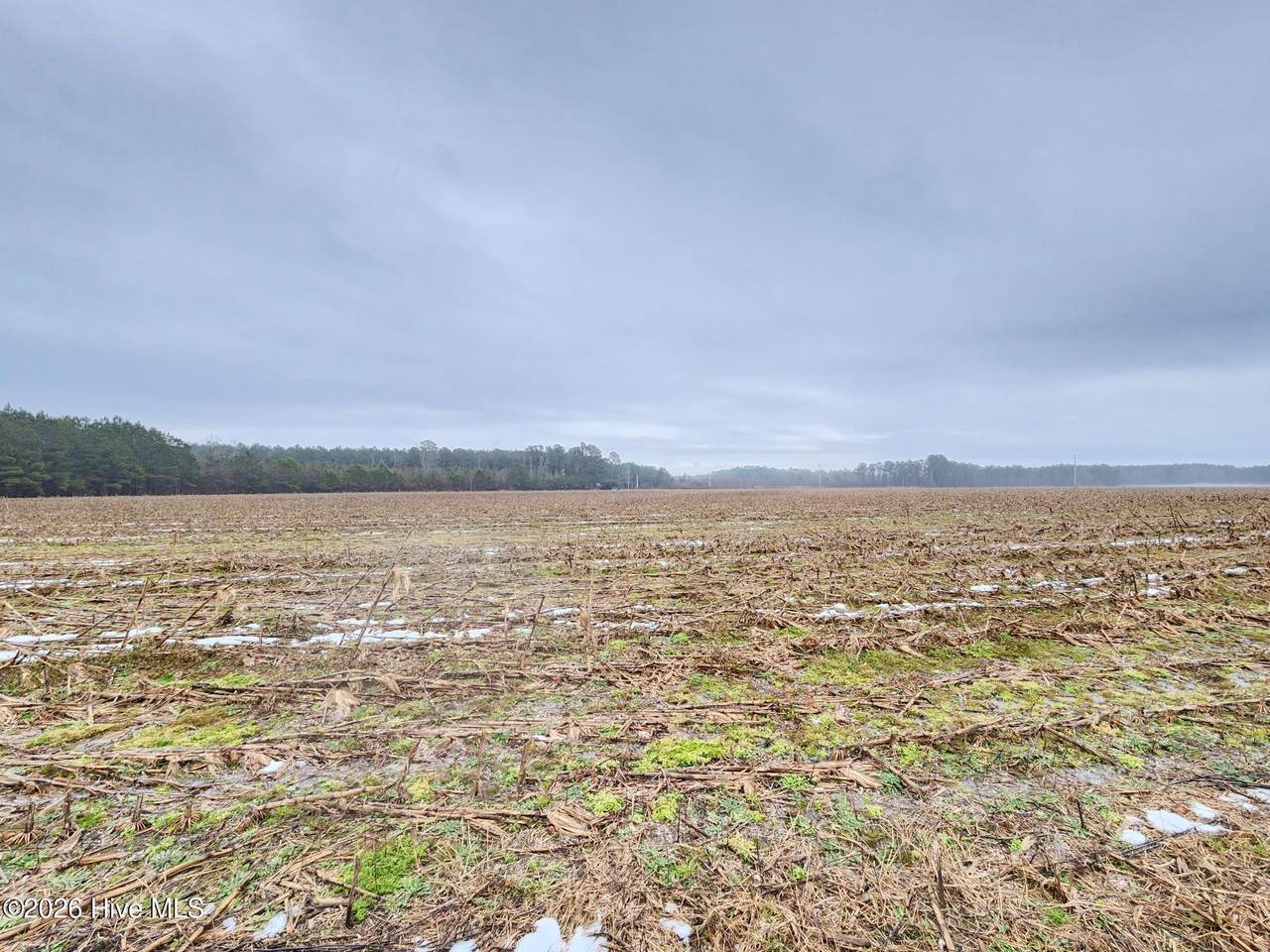 Tbd Ramsey Ford Road - Photo 1