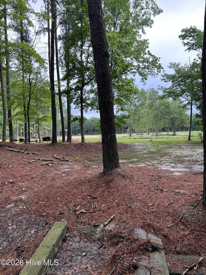 270 Guinea Mill Road - Photo 1