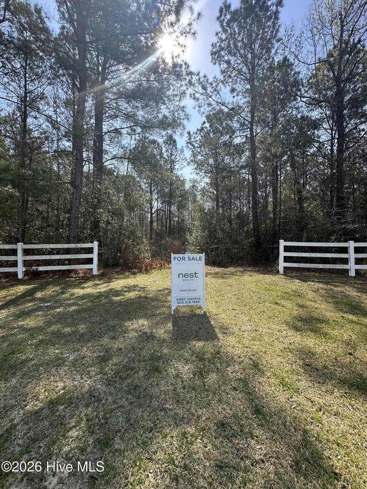 7069 White Bridge Lane - Photo 1