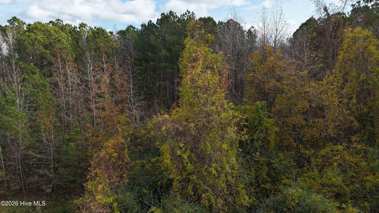 https://bt-photos.global.ssl.fastly.net/ncreg/orig_boomver_1_a4774eb9cc2a58af2e49476354d60a03-2.jpg