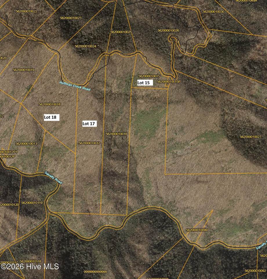 00 Huffman Creek Road - Photo 1