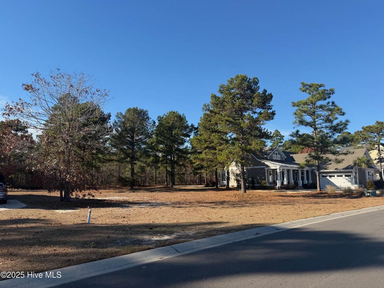 9484 Fallen Pear Lane - Photo 1