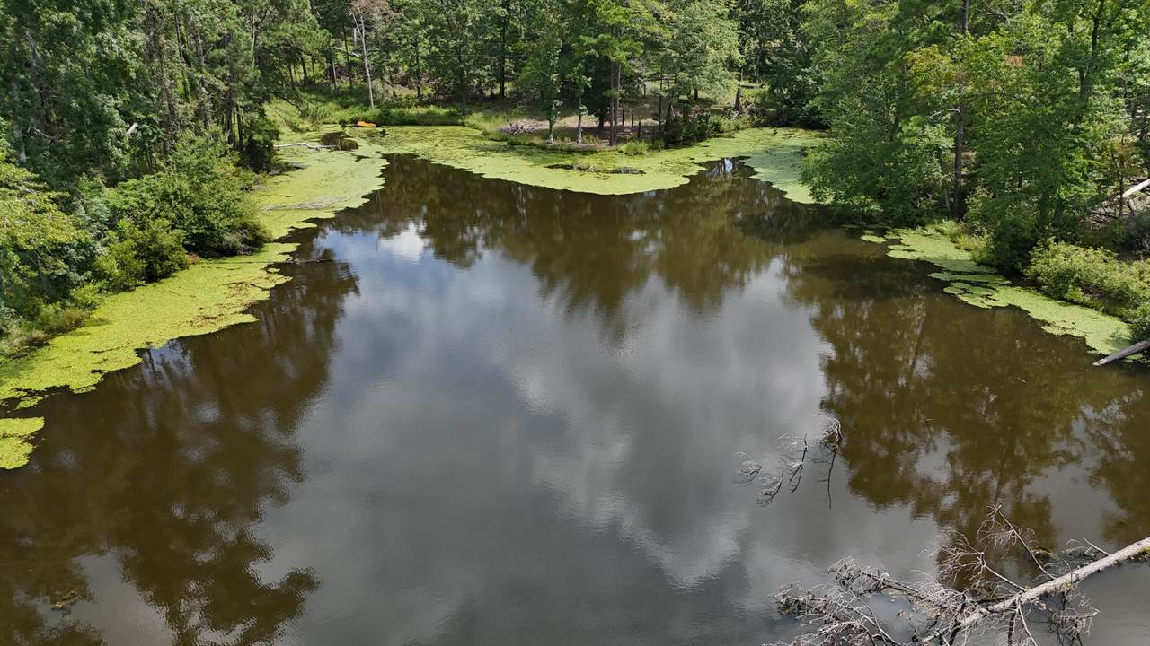 https://bt-photos.global.ssl.fastly.net/ncreg/1280_boomver_1_a6d23a2f22381e60959ee699822c6a5e-2.jpg