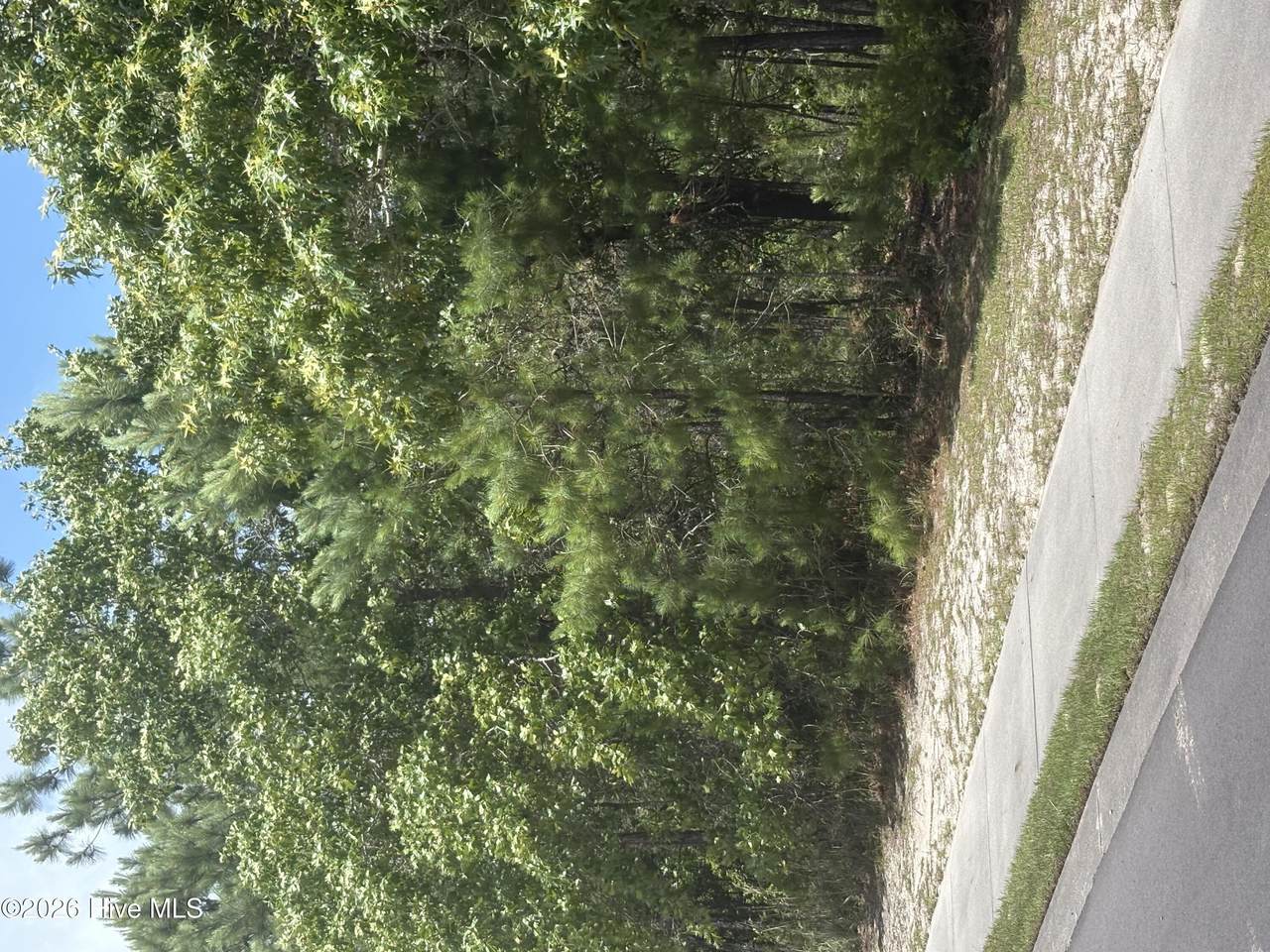 3005 Arundel Hill - Photo 1