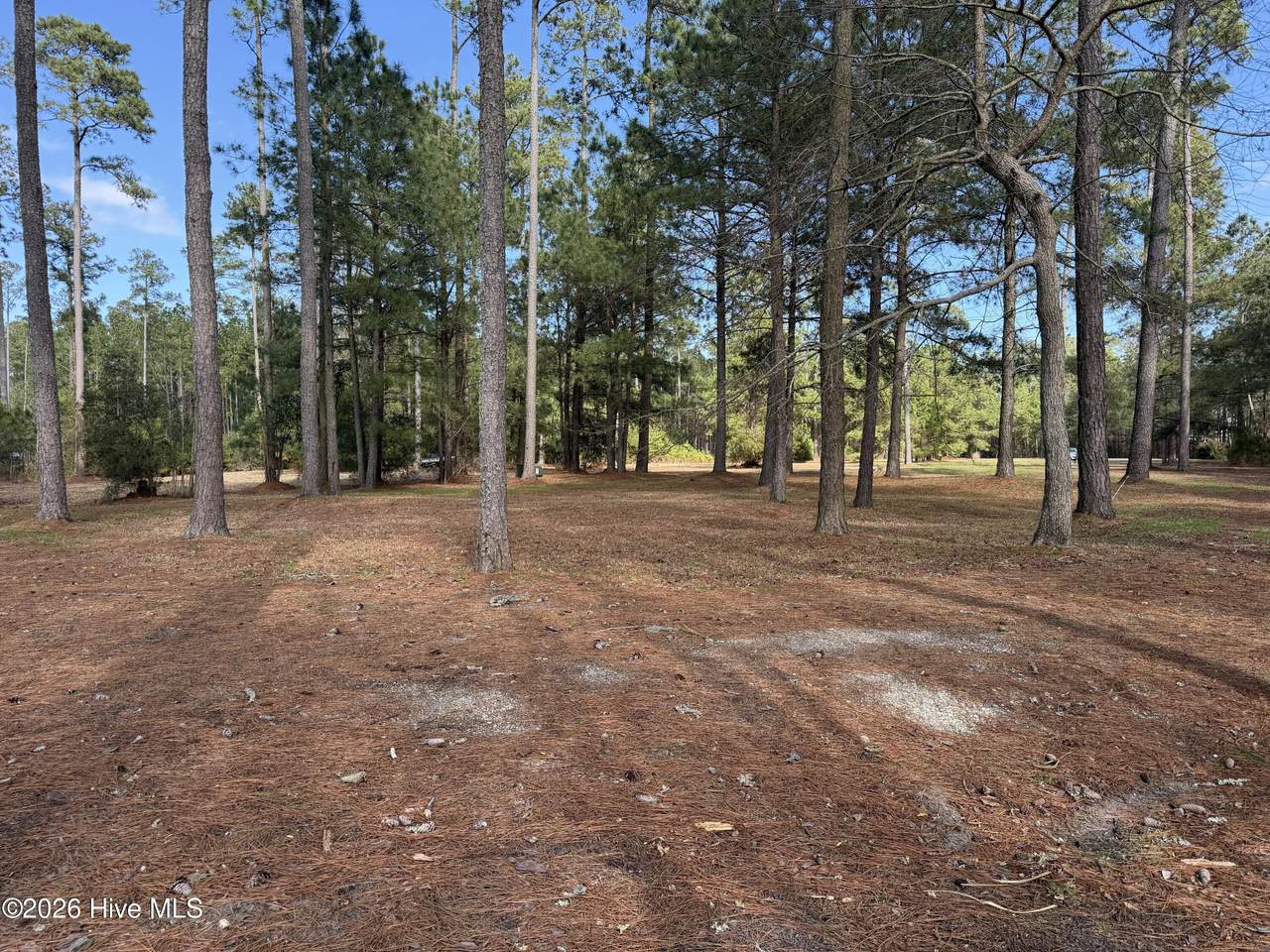 https://bt-photos.global.ssl.fastly.net/ncreg/1280_boomver_1_a797d7cf473ae669a0a5a3a75c5681d2-2.jpg