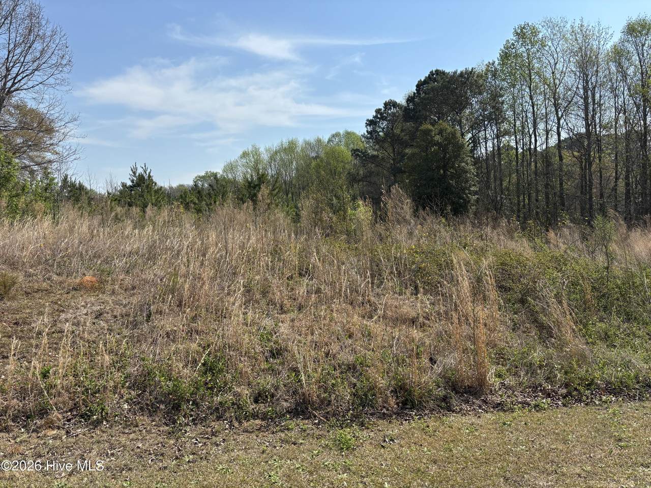 503 Woodcroft Drive - Photo 1