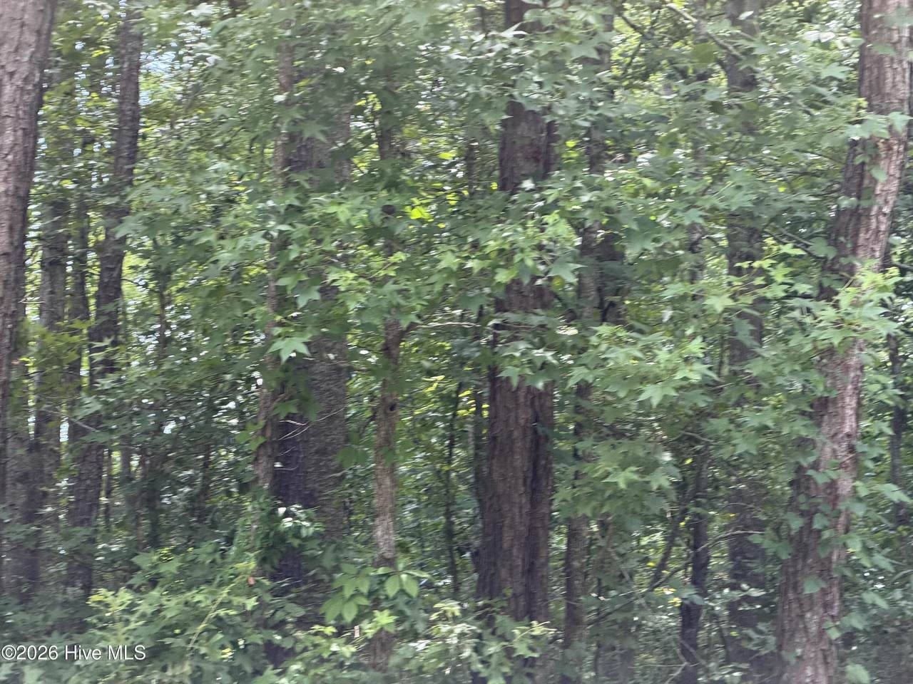 https://bt-photos.global.ssl.fastly.net/ncreg/1280_boomver_1_a8193f8bc5d2efc902a32a5ed51452f1-2.jpg