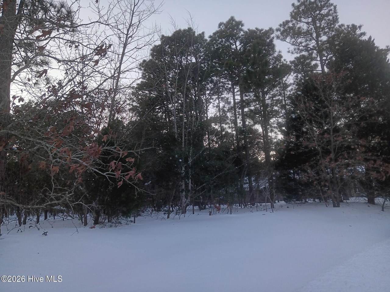 105 Steeplechase Way - Photo 1