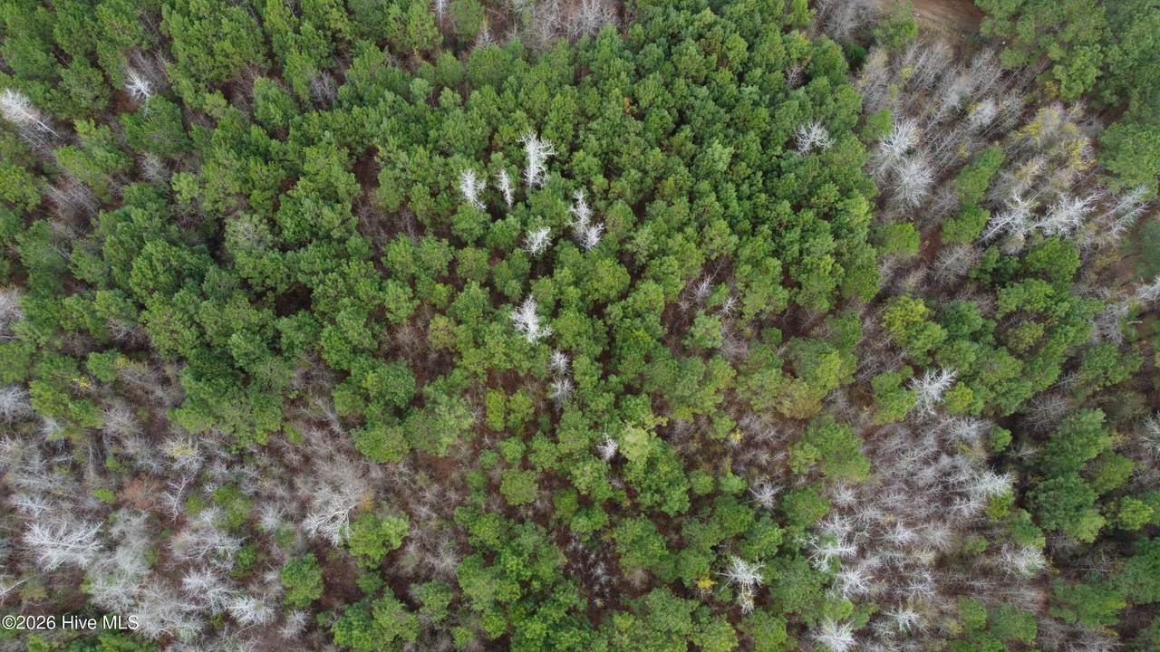 19115 Andrew Jackson Highway - Photo 1