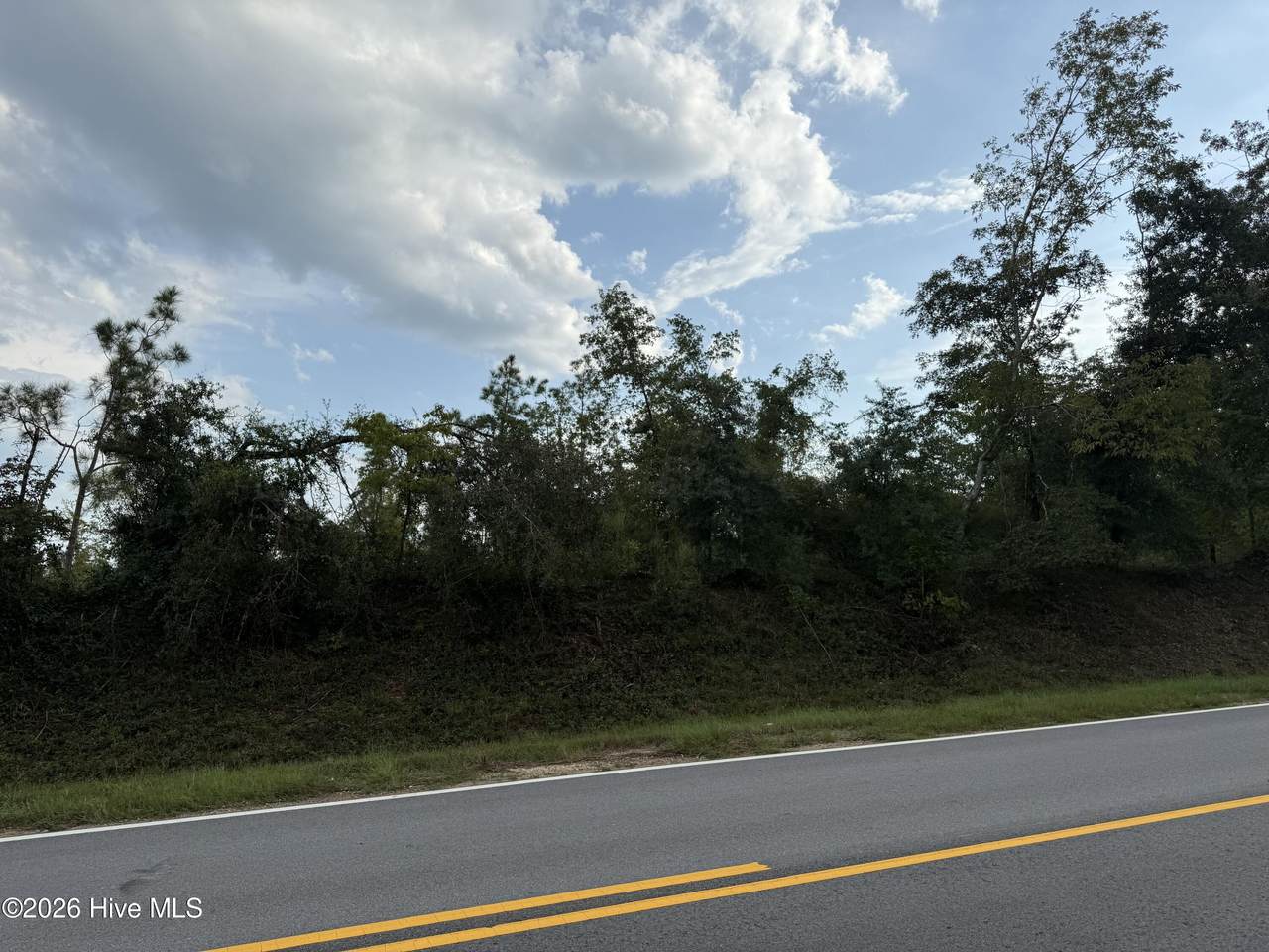 1576 Hephzibah - Mcbean Road - Photo 1