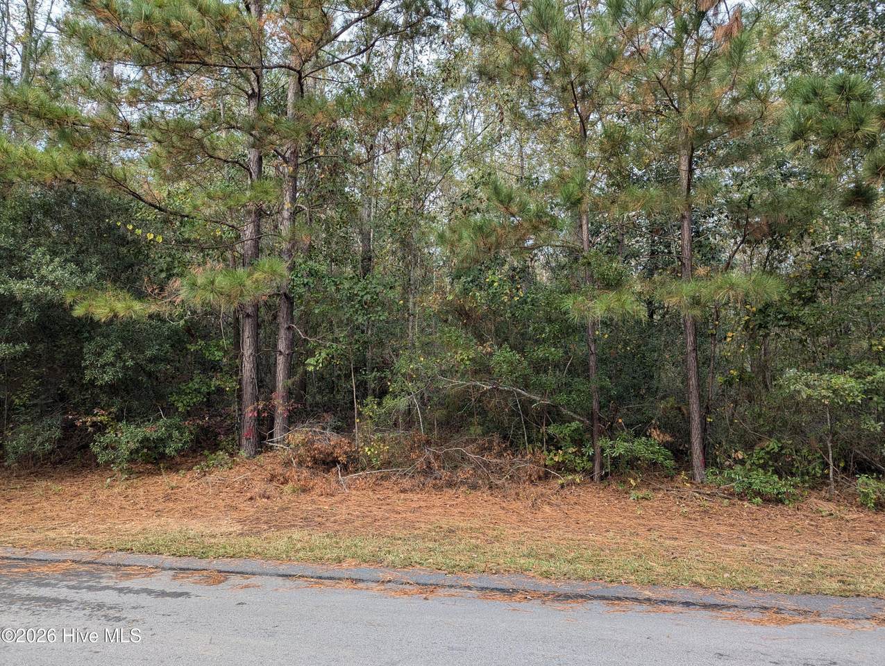 0 Summercreek Drive - Photo 1