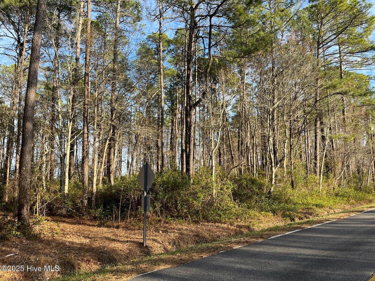 5408 Prosperity Lane - Photo 1