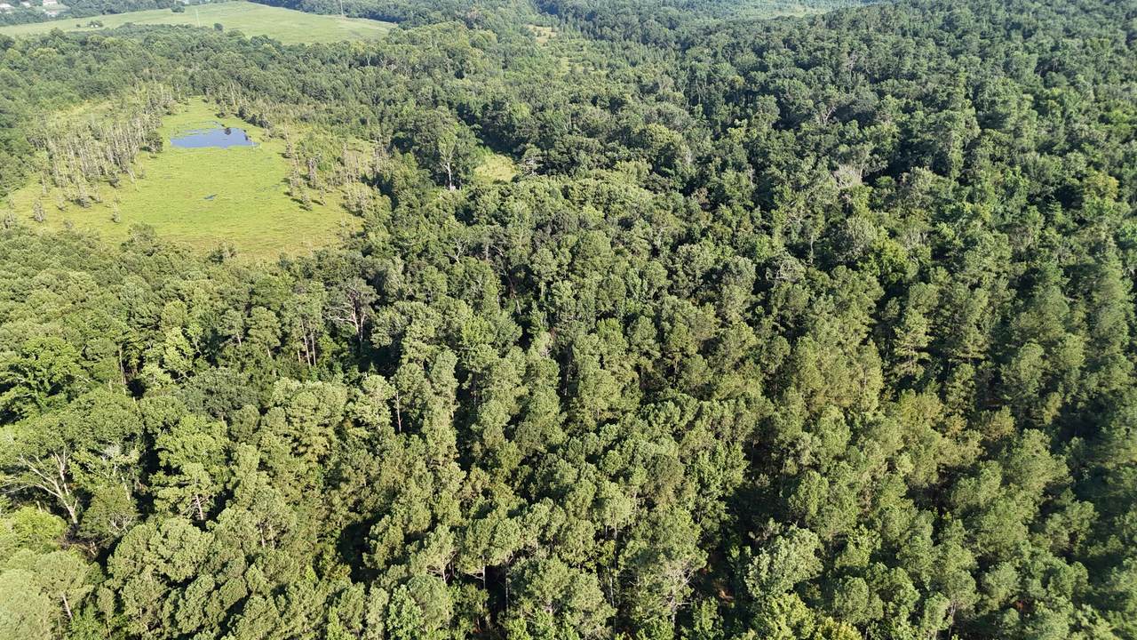0 Swamp Road - Photo 1