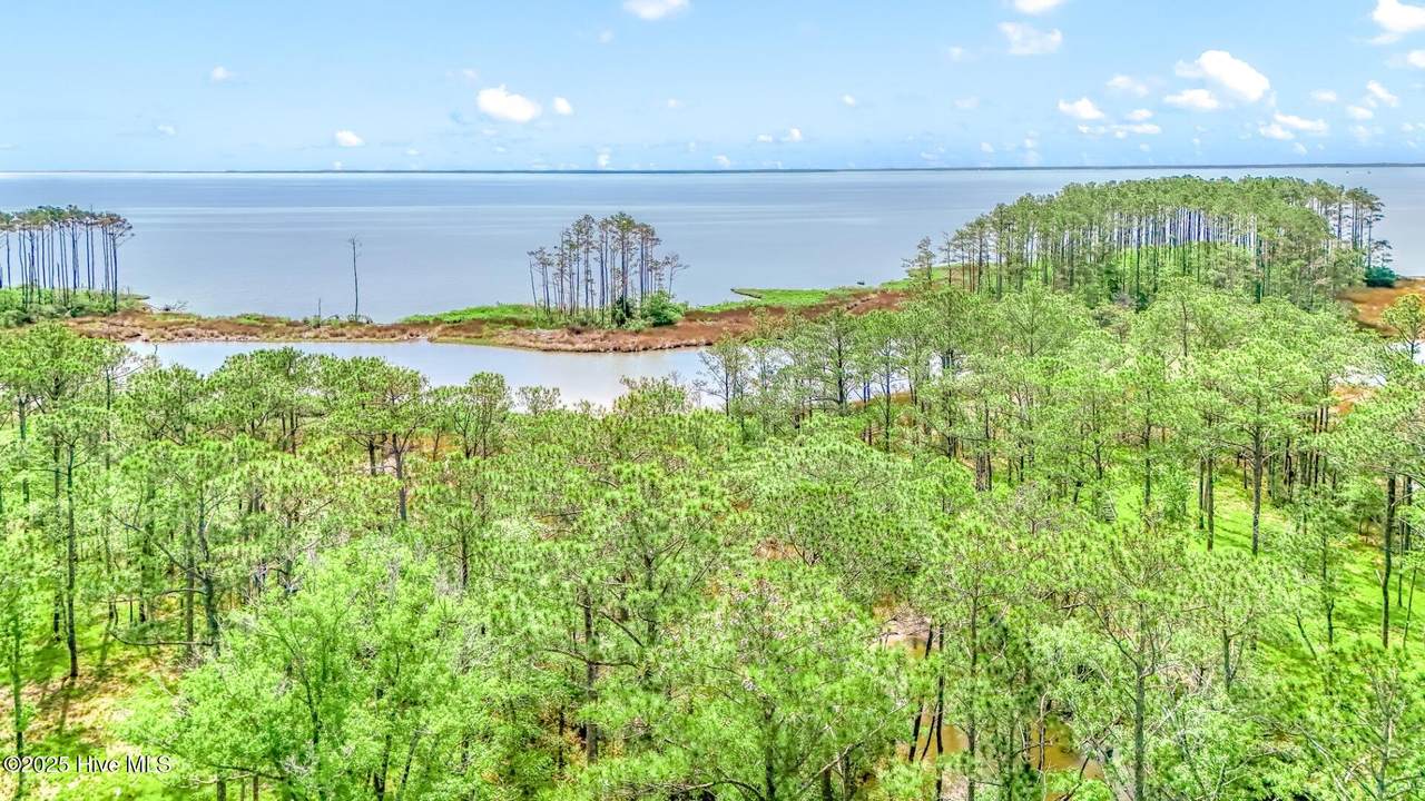 175 River Watch Road - Photo 1