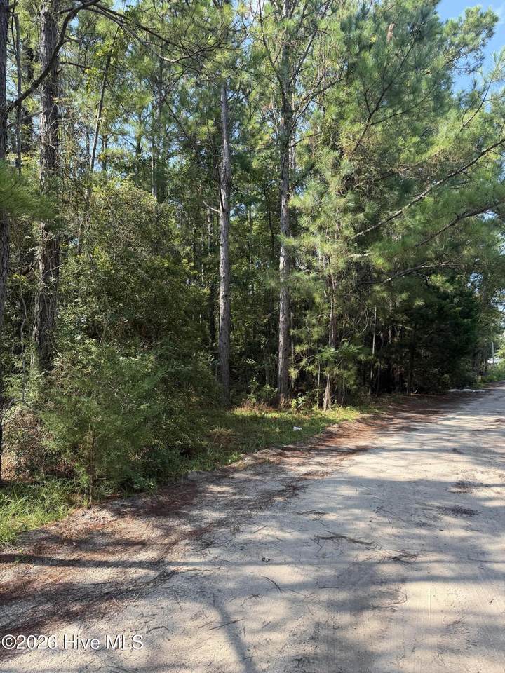 2865 Robin Drive - Photo 1