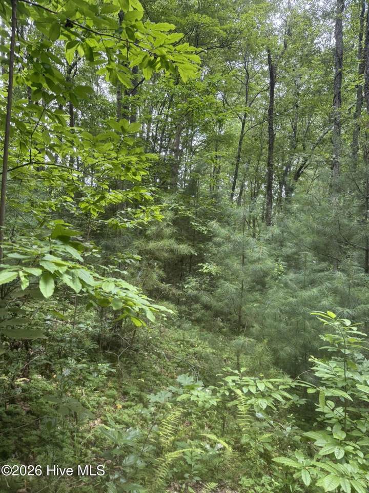 24,25 Camp Creek Estates Drive - Photo 1