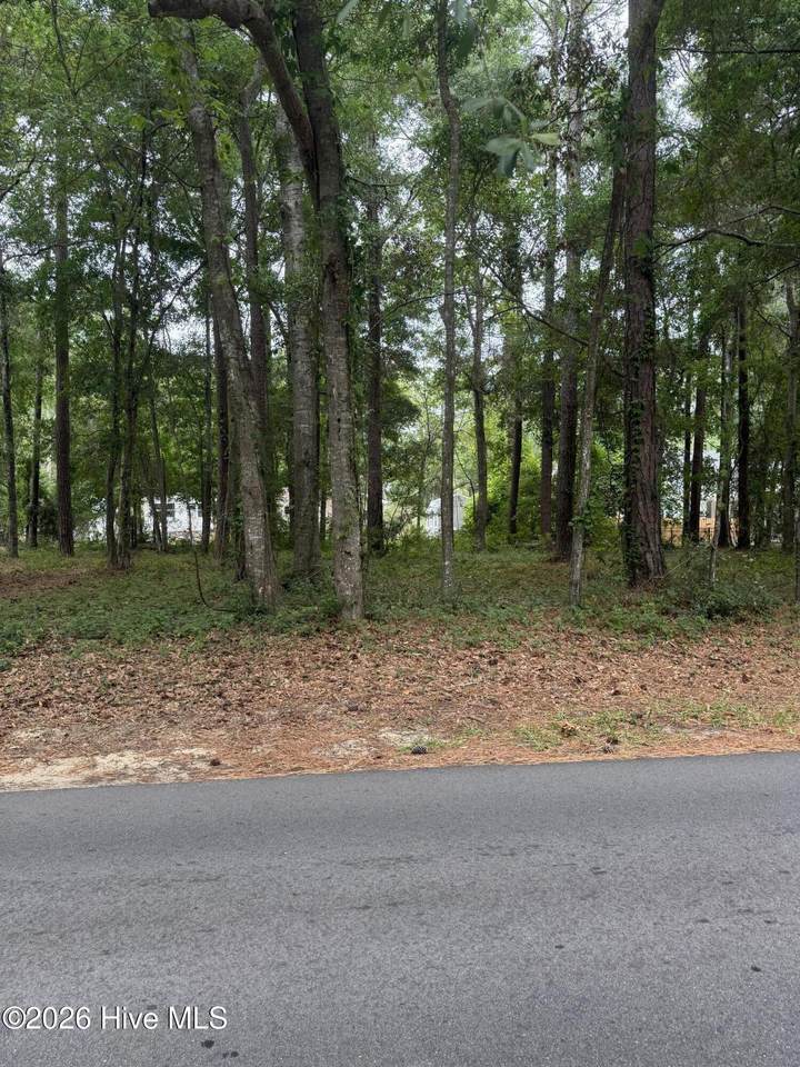 9042 Ocean Harbour Golf Club Road - Photo 1