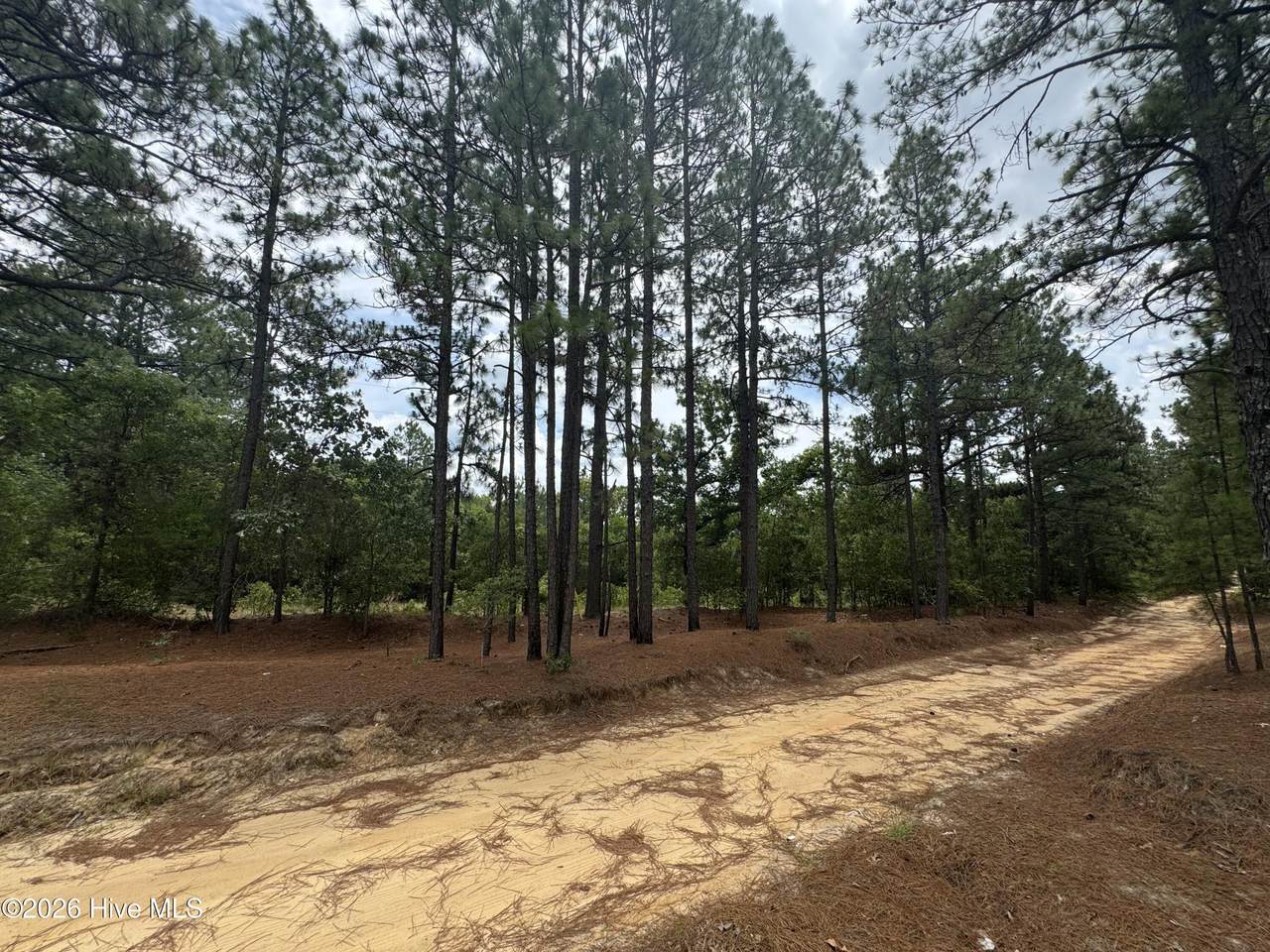000 Lizzie Jeter Lane - Photo 1