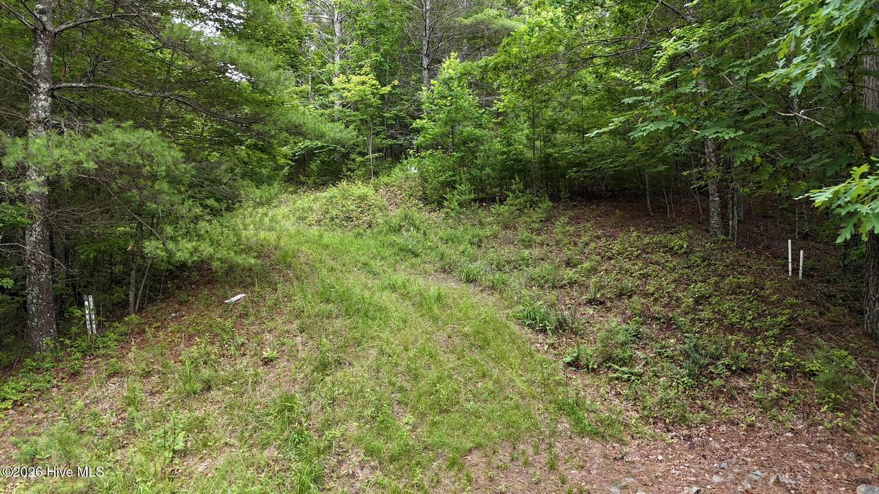 00 Choctaw Ridge Trail - Photo 1