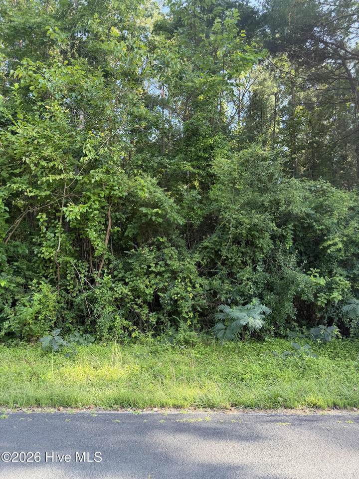 1199 Green Springs Road - Photo 1