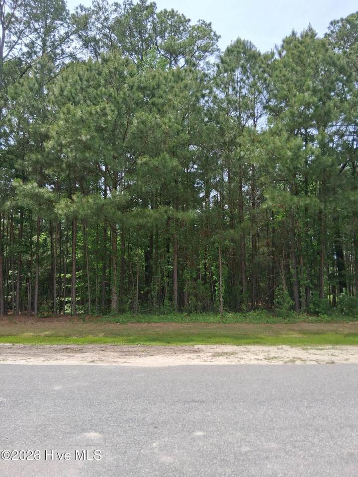 17 Scuppernong River Drive - Photo 1