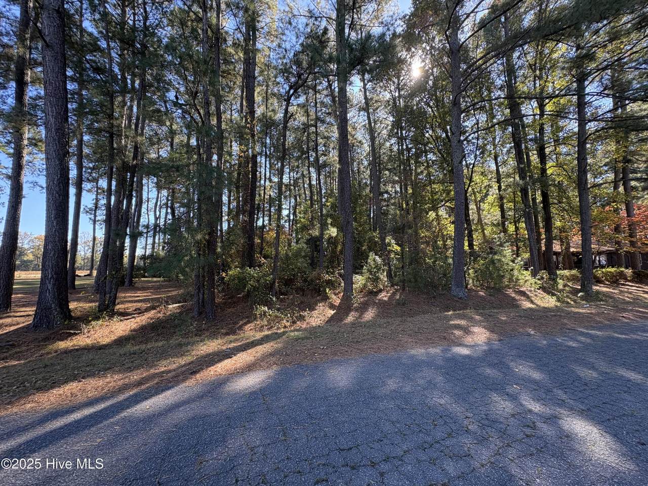 5715 Edith Road - Photo 1