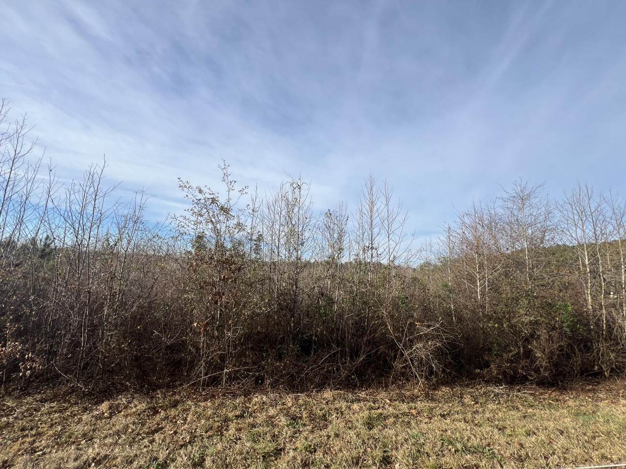 LOT2 Hephzibah Church Road - Photo 1