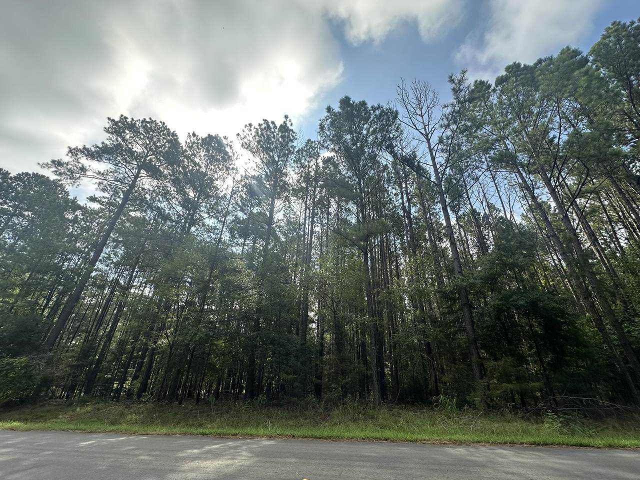 Lot 1 Dogwood Lane - Photo 1