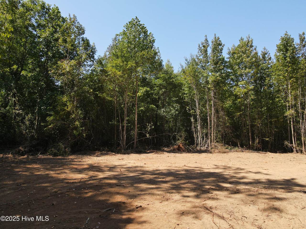 00 Alert Road - Photo 1