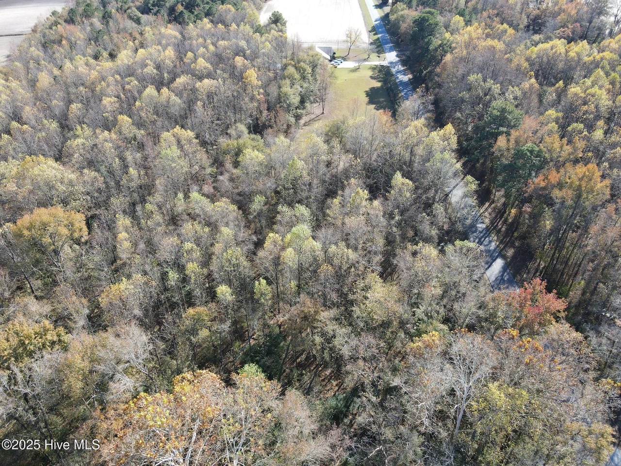 Lot 1 Alton Phillips Road - Photo 1