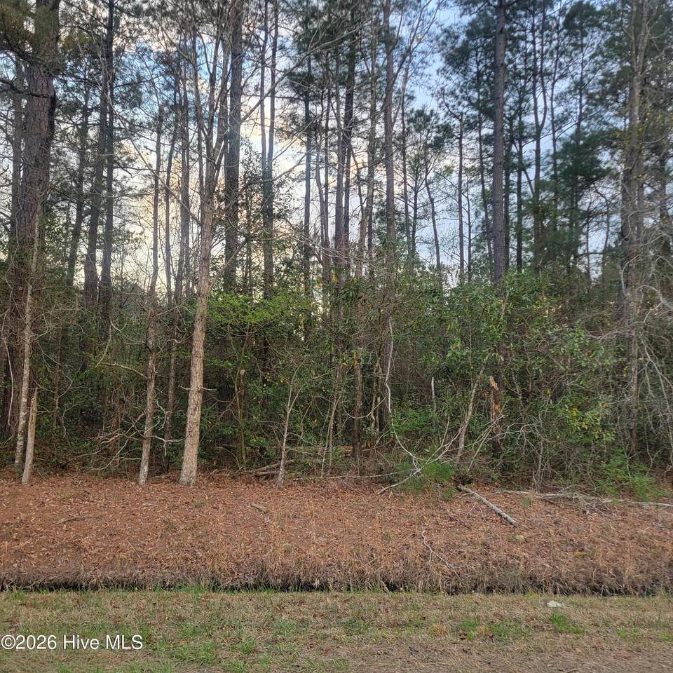 Tract 8 Fennell Town Road - Photo 1