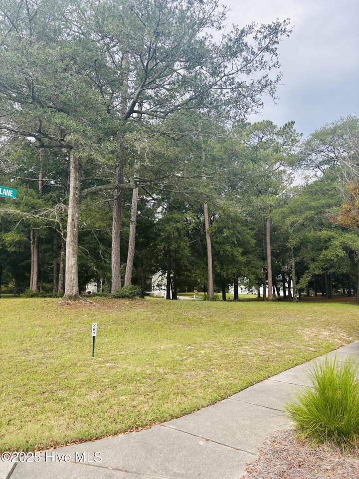 9201 Shaw Lane - Photo 1