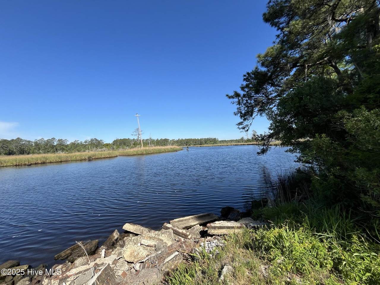 45 Berne Landing Road - Photo 1